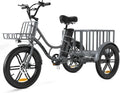 ELEKGo EGO03 Triciclo cargo elettrico 500 W, 48 V 18 Ah, display LCD, pneumatici 20 × 3,0 pollici